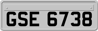 GSE6738