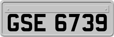 GSE6739