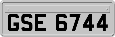 GSE6744