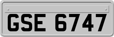 GSE6747