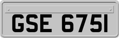 GSE6751
