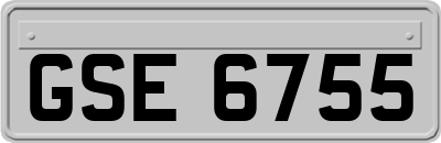 GSE6755