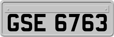 GSE6763