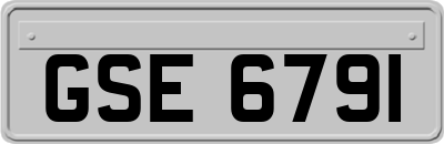 GSE6791