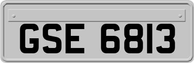 GSE6813