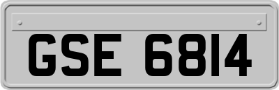 GSE6814