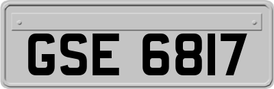 GSE6817