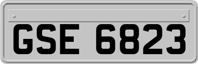 GSE6823