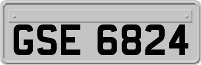 GSE6824
