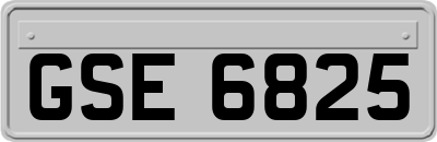 GSE6825