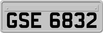 GSE6832