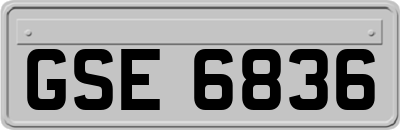 GSE6836