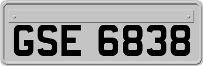 GSE6838