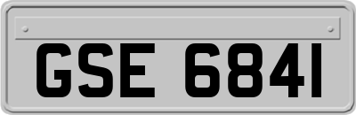 GSE6841