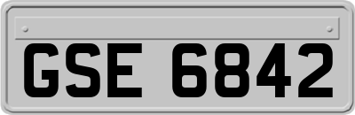 GSE6842