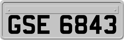 GSE6843
