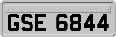 GSE6844