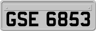 GSE6853