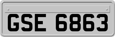 GSE6863