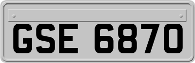 GSE6870