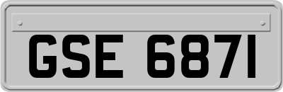 GSE6871