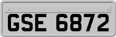 GSE6872