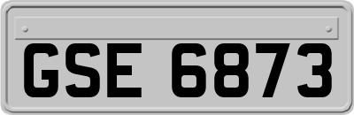 GSE6873