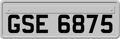 GSE6875
