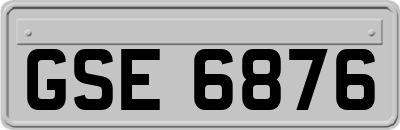 GSE6876