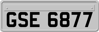 GSE6877