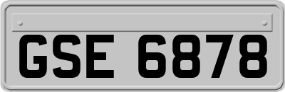 GSE6878