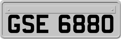 GSE6880