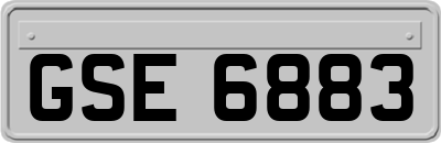 GSE6883