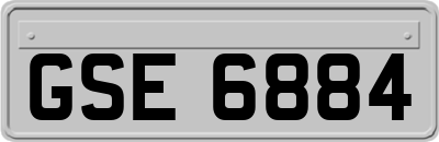 GSE6884