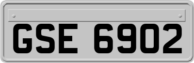 GSE6902