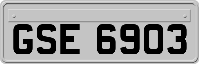 GSE6903