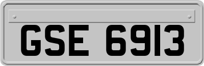 GSE6913