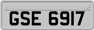 GSE6917