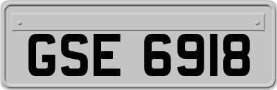GSE6918