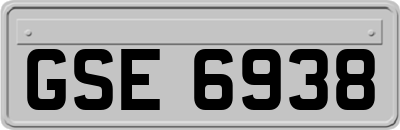 GSE6938
