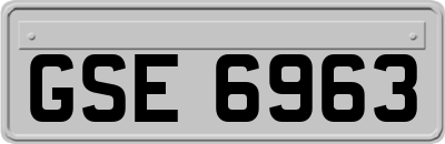 GSE6963