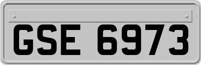 GSE6973