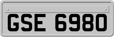 GSE6980