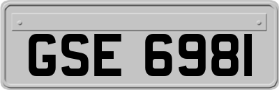 GSE6981
