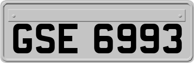 GSE6993