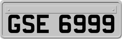 GSE6999