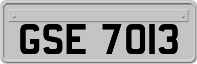 GSE7013