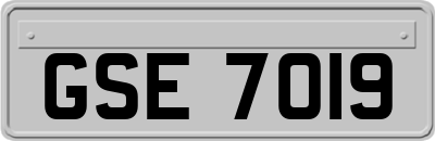 GSE7019