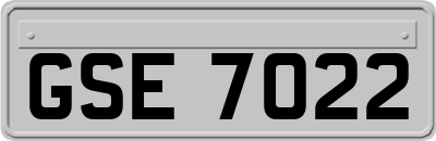 GSE7022