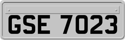 GSE7023